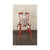 Mr. Nelsson Cushion
