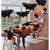 Giant Bat Ballons