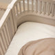 Jersey Sheet 2 Pack Baby 70 x 120 cm, White