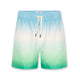 Le Swimpie Gradient Swimshorts Green