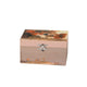 Musical Jewelery Box Squirrel