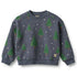 Baby Sandro Sweatshirt Grey Blue Holiday