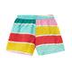Stripes Short Multicolor