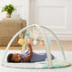 Garden Oasis Activity Gym