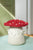 Basket Mini Mushroom Red