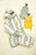 Washcloths 2-Set Lemon Pear
