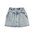 Esta A-Line Denim Skirt