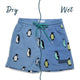Penguin Swimshorts Blue