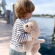 Bentley The Golden Doodle