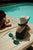 Sailor Swimsuit Sea Moss