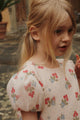 Zia Dress Marmelatta