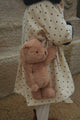 Teddy Bear Bag