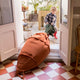 Bean Bag Cathy The Carrot