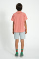 Indigo Stripes Shorts Ecru