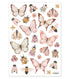 Preorder 40 to 45 days Coccinella Butterflies Sticker Sheet