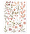 Preorder 40 to 45 days Coccinella Flowers Sticker Sheet