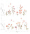 Preorder 40 to 45 days Coccinella Flowers Sticker Sheet