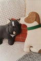 Cushion Jimmy Dark Grey
