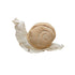 Cushion Lazy Snail