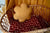 Velvet Bloom Pillow Honey Azalea