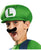 Classic Super Mario Costume Luigi