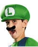 Classic Super Mario Costume Luigi