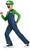 Classic Super Mario Costume Luigi