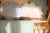 Velvet Shell Cushion Apricot Pearl