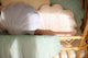 Velvet Shell Cushion Apricot Pearl