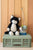 Checkers The Cat Black