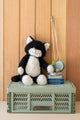 Checkers The Cat Black