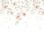 Preorder - Delivery 40 to 45 days Paradise Garden Pastel Twigs Wallpaper