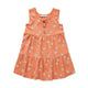 Jersey Dress Daisies Print Blush