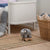 Sebra Crochet Pull-along Toy, Fanto Classic Grey