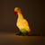Lamp Duck