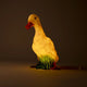 Lamp Duck