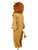 Lion Costume