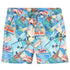Macapa Swim Trunks Blue