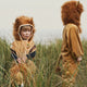 Lion Costume