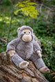 Maisie The Monkey