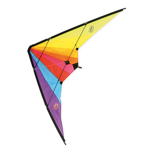 Delta Kite With Double Handle