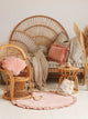 Soft Velvet Shell Cushion Apricot