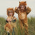 Lion Costume