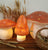Mushroom Medium Lamp Terra