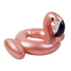A Flamingo Kiddy Float