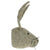 Grey Hare Head