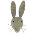 Grey Hare Head